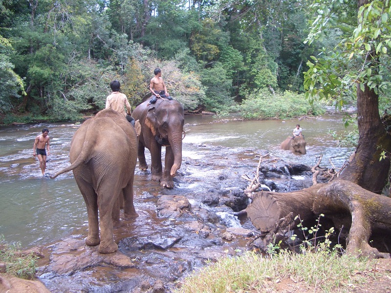 Cambodia tours, wildlife & culture