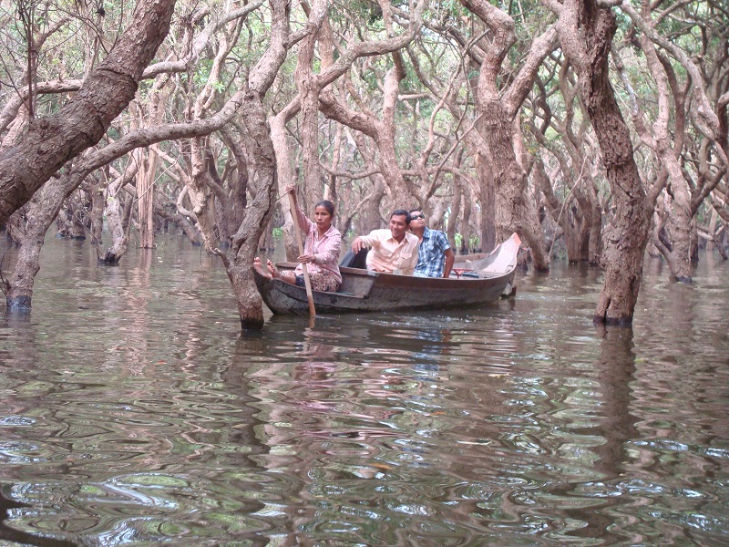 Cambodia Holidays Flooded Forest