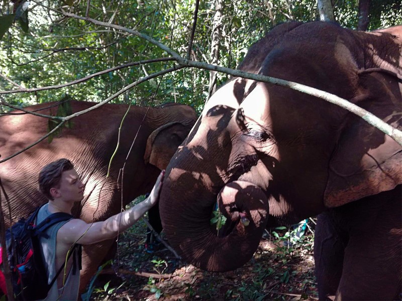 elephant adventure tour,  Cambodia