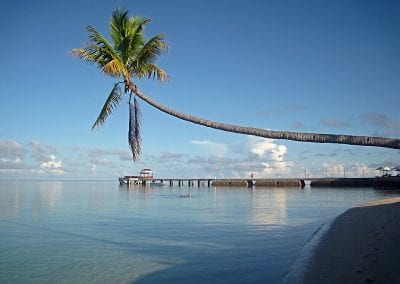 Scintillating Sulawesi Tour