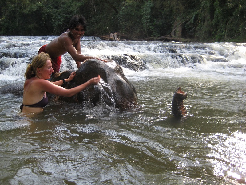 Tourist washing an elephant