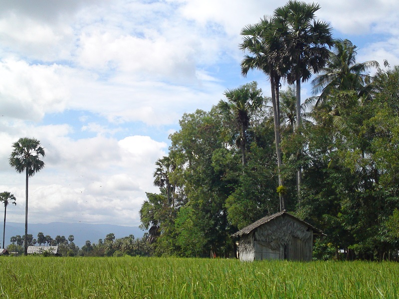 Countryside near Kampot
