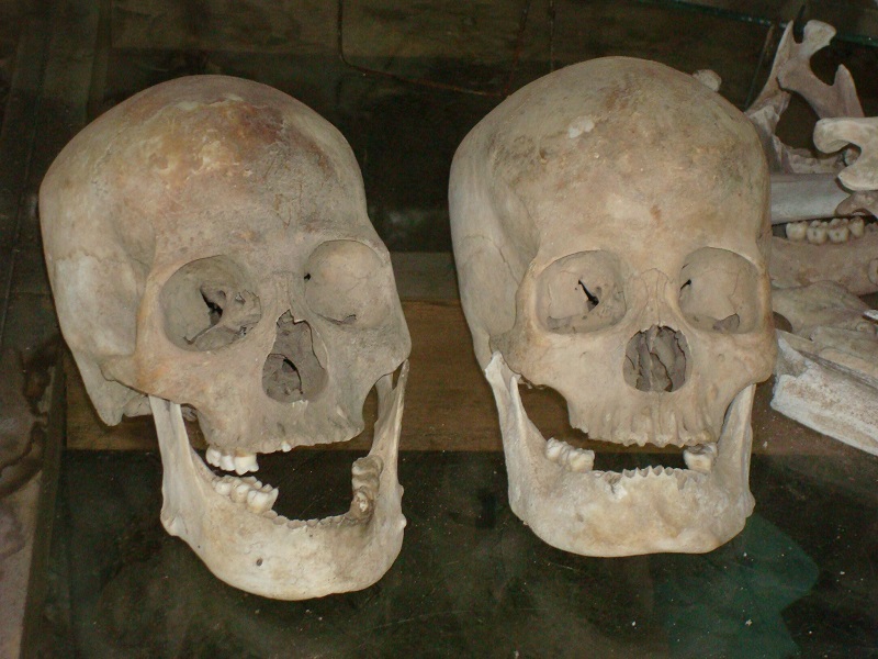 Skulls found at the infamous Killing fields