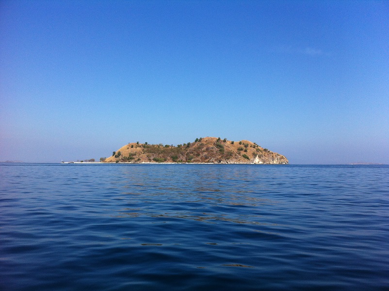 Menjangan Island