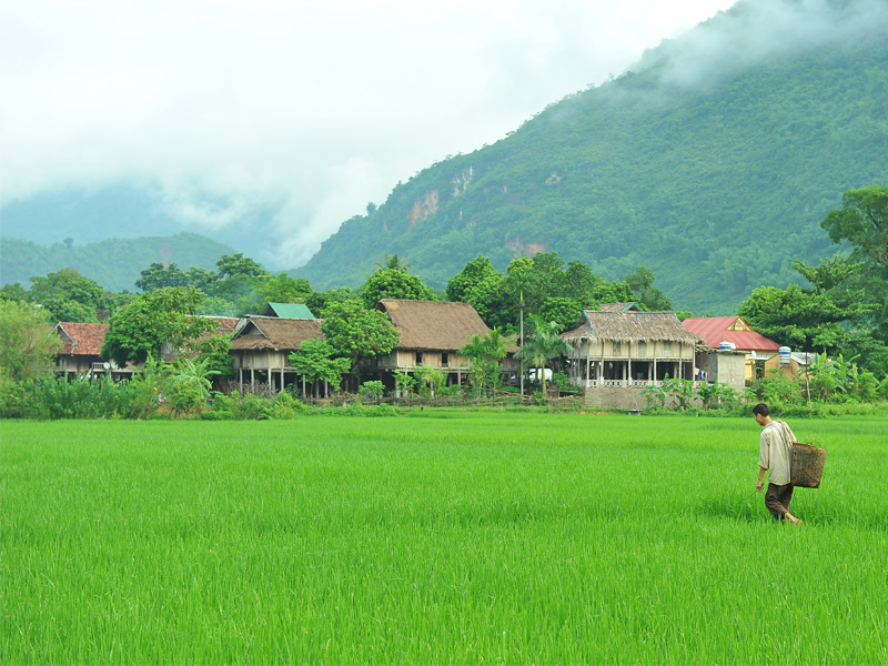 Rural tour in Mai Chau