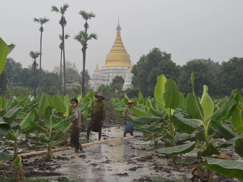 Visit the incredible pagodas of Ava