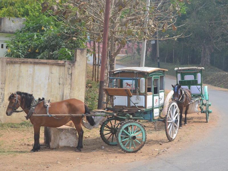 day tour of Pyin Oo Lwin