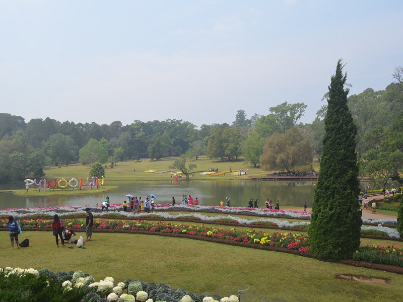Spend a day in the green National Kandawgyi Botanical Gardens of Pyin Oo Lwin