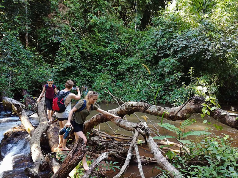 Specialists Tours Jungle River Crossing