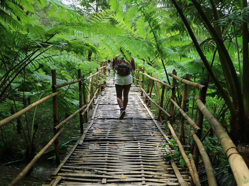 Walking on a bamboo bridge