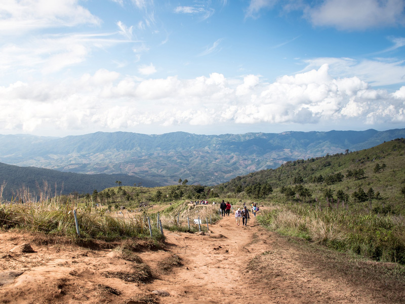 Trekking in Chiang Rai