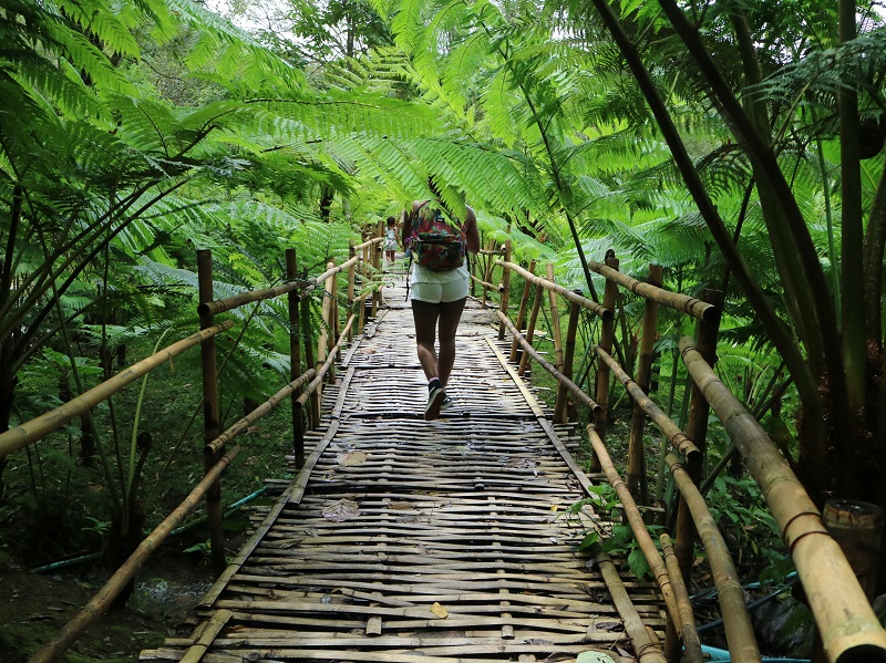 Backpacker walking on bamboo bridge