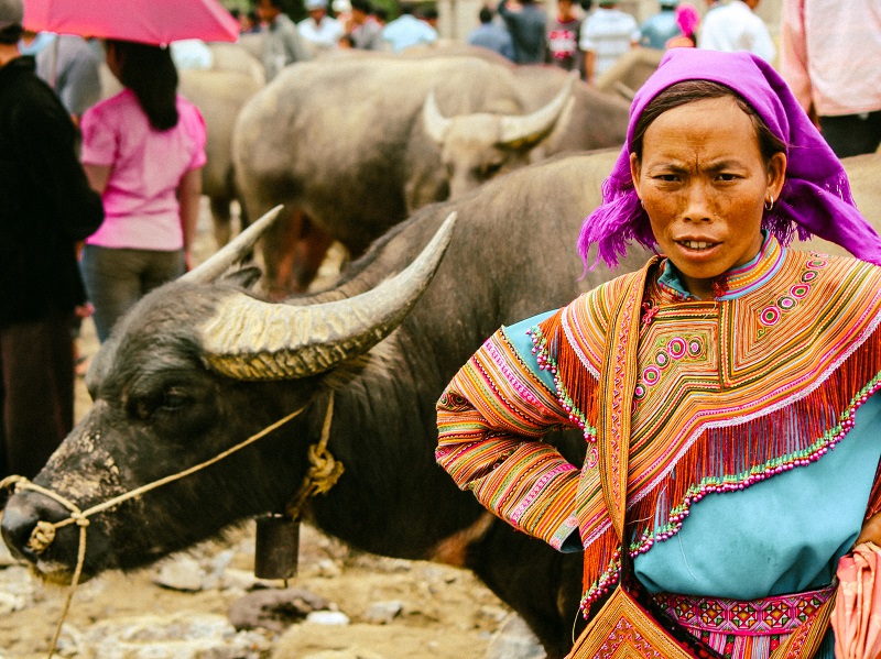 H'Mong women clad in near-fluorescent woven clothes