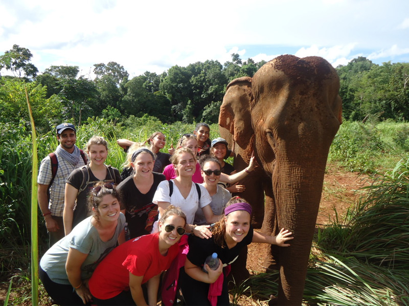 Elephant Experiences at the Elephant Sanctuary