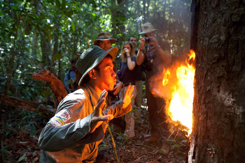 Cambodia Popular Activities - Jungle Treks