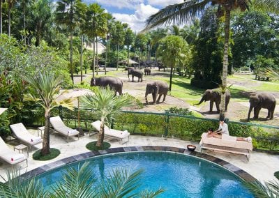 Indonesia-Holidays-Hotels-Elephant-Lodge