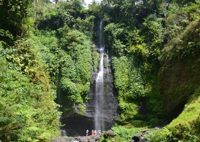 Dolphins, Waterfalls, Rice fields & a Fish Supper