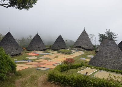 Wae Rebo Trekking & Homestay