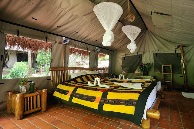 Inside of supersize safari tent