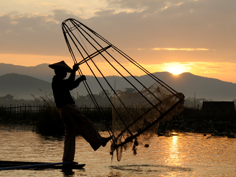 inle lake fisher pulling out a fish net