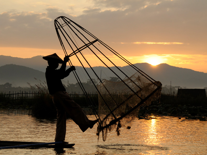 Inle-Lake fisher inle lake fisher pulling out a fish net