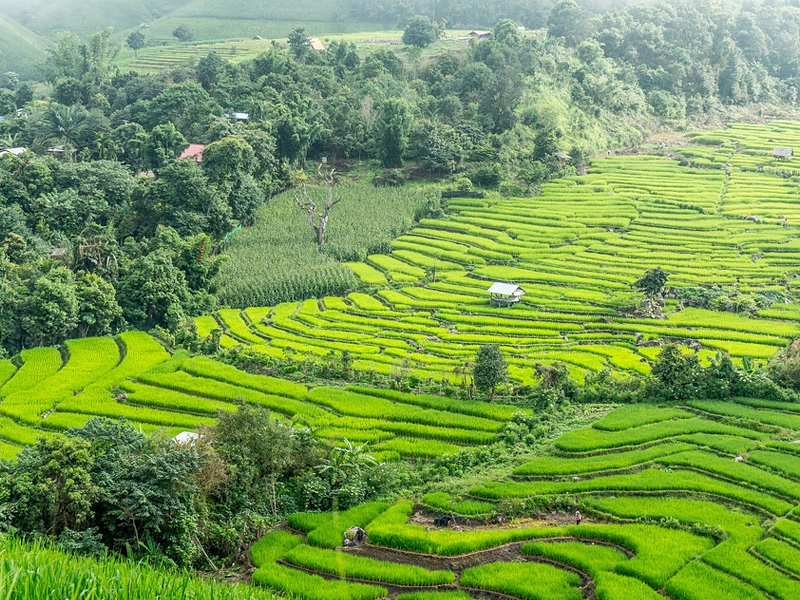  trekking holidays in Thailand