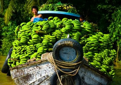 Mekong Delta Boat Tours