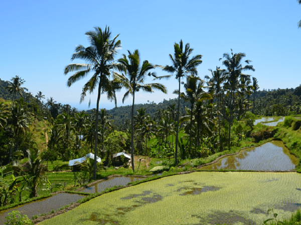 Treat yourself to stunning vistas while playing golf in Bali