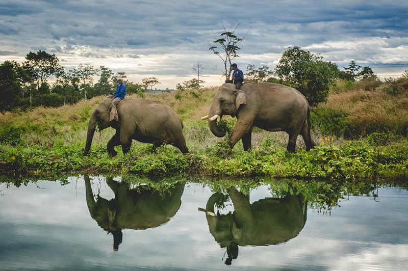 The group on their Cambodia holidays