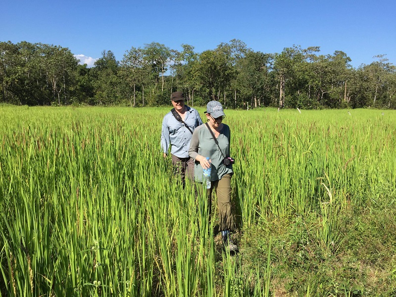 Gibbon Trek adventure in Ratanakiri