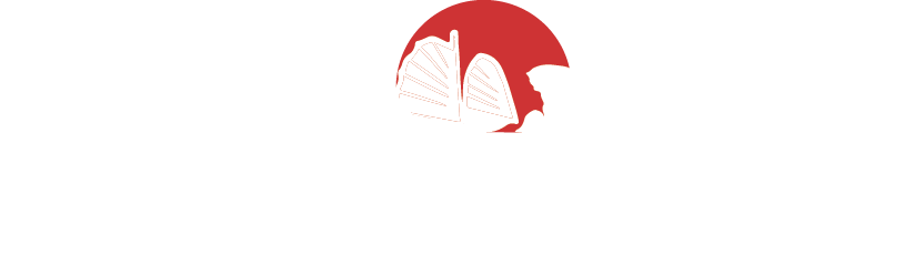 Vietnam Holidays Logo