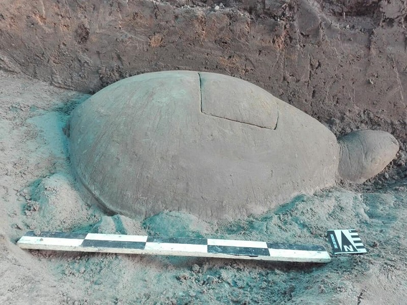 Uncovered Tortoise Statue