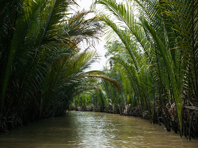 Explore the canales of the Mekong Delta
