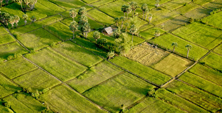 resized-Cambodia (15)