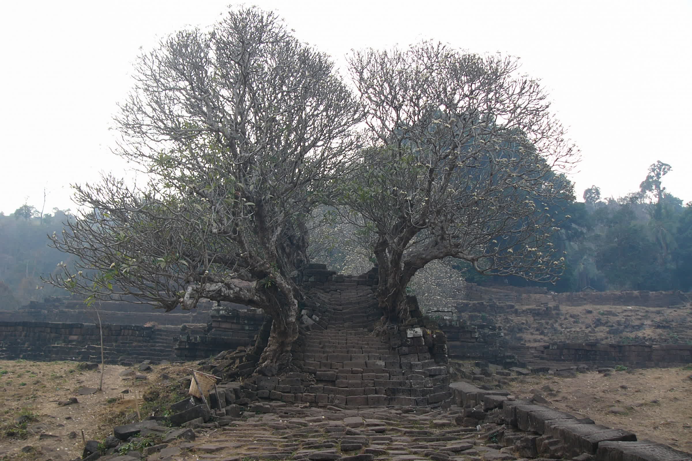 resized-Laos (1)(1)