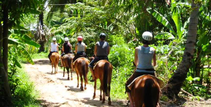 resized-Horse Riding